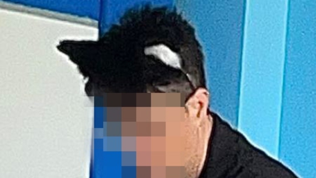 HT6. Aussie Teacher Who ‘Identifies as a Cat’ Accused of Hissing at Pupils