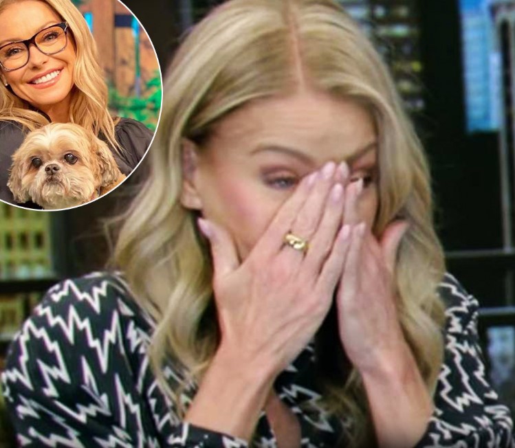 HT6. Kelly Ripa breaks down on TV after losing her 17-year-old dog