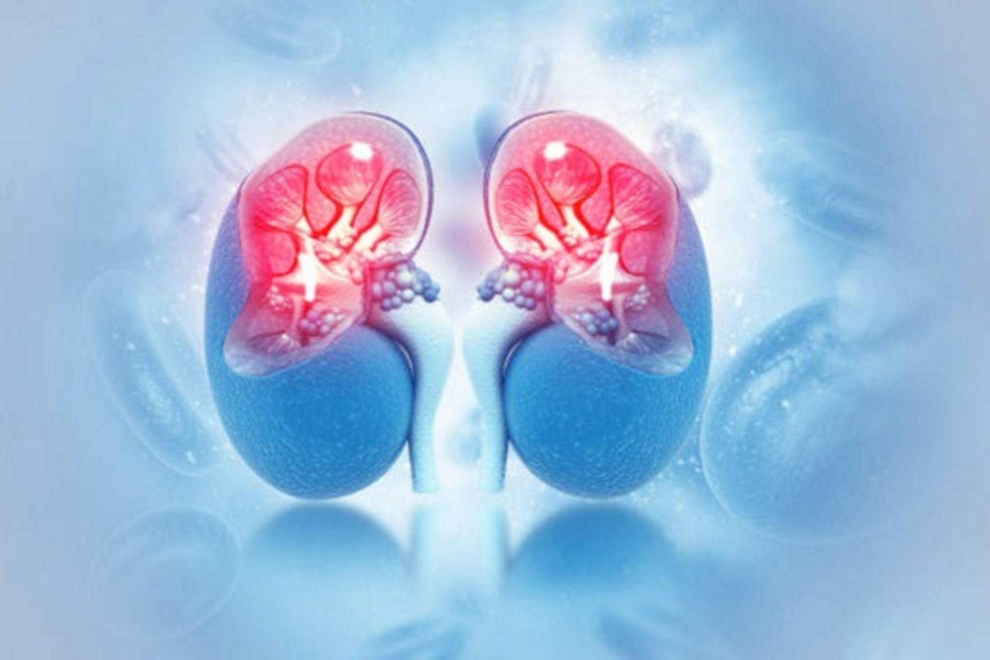 HT6. Warning Signs Your Kidneys Are in Danger – What to Watch For