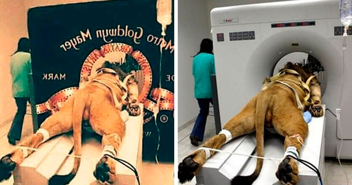 ST6. 30 Viral & Weird Photos That You Can Find Online