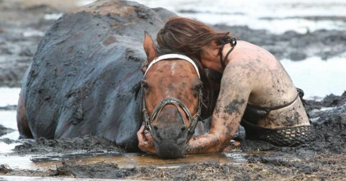 HT6. For 3 hours, woman desperately holds her trapped horse – then a farmer turns up at the last second