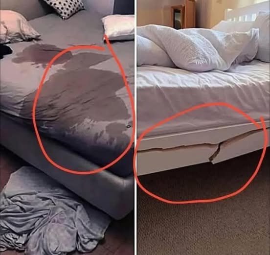 HT6. “Have You Ever Got a Bad Review from a B&B – and What Was It For?” Here’s What Hosts (and Guests) Can Learn