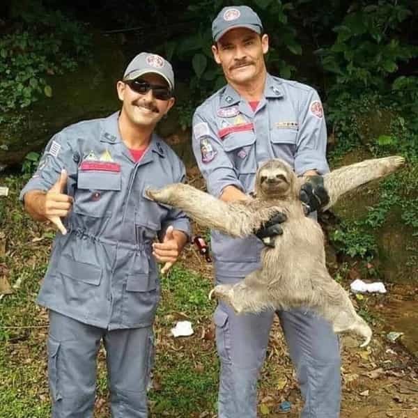 ST6. 30 Weird images you could only find on the internet