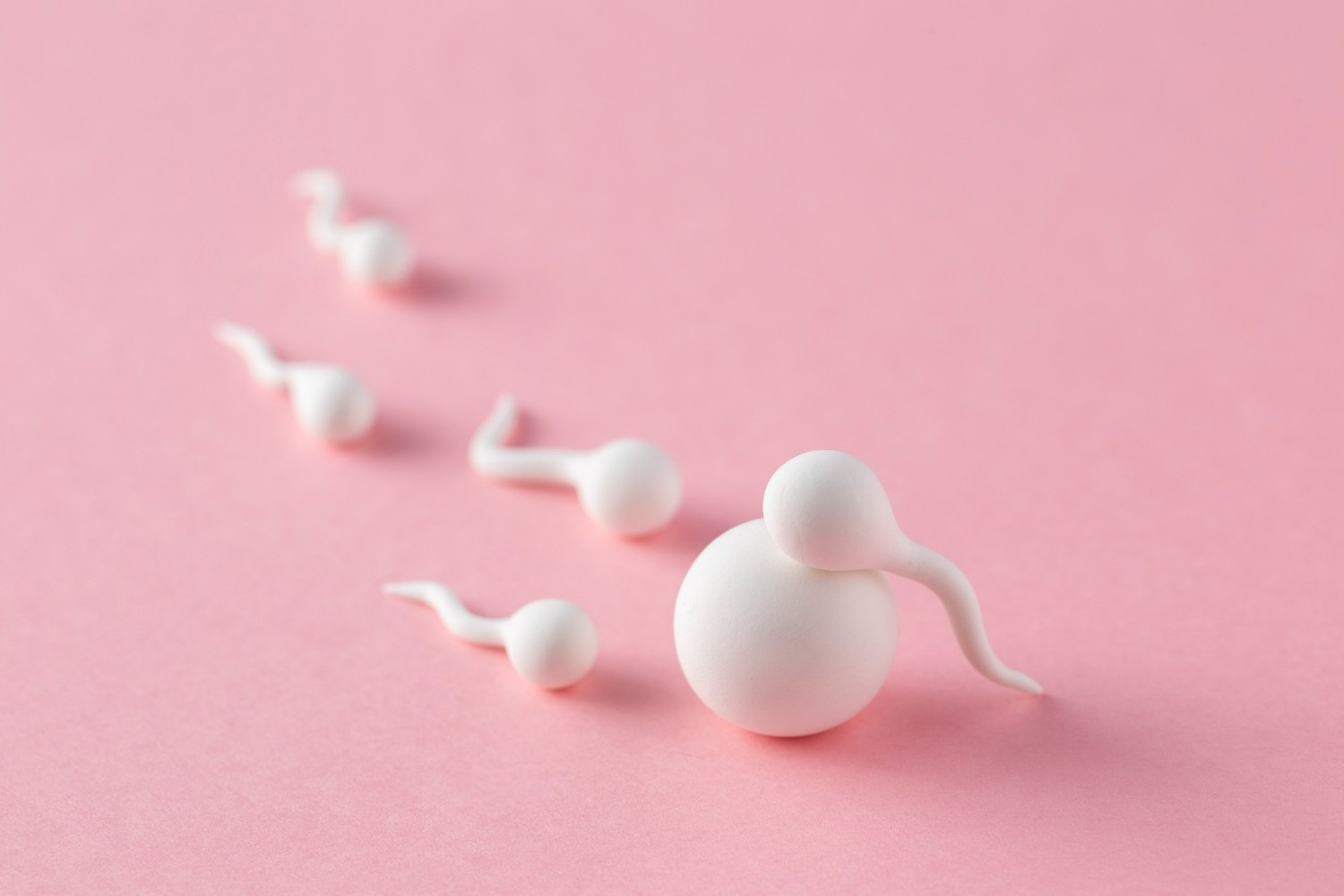 HT6. Many know! Studies reveal that swallowing your partner’s sem*n…