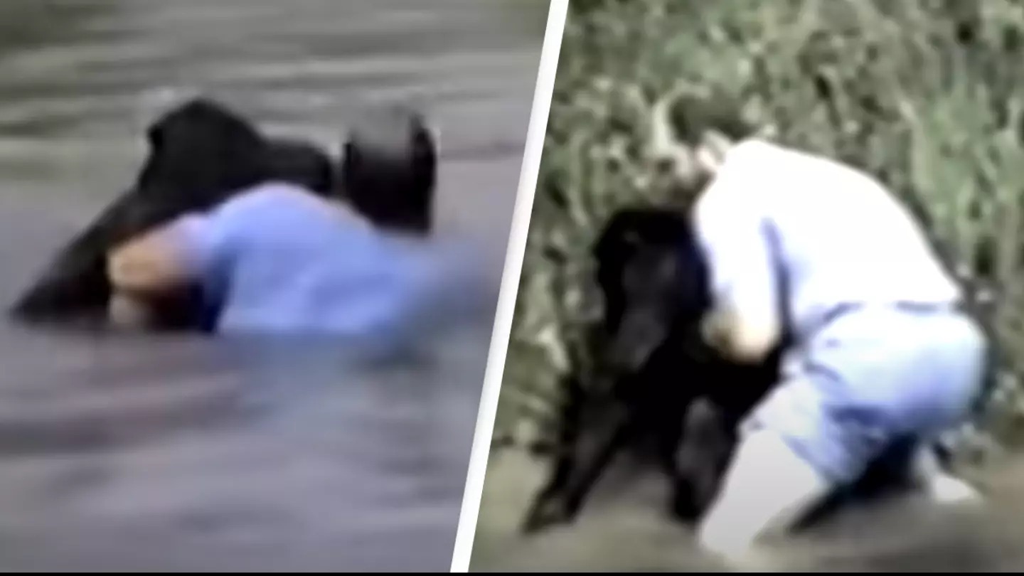 HT6. Heroic Rescue: Man Saves Drowning Chimpanzee After Zoo Refuses Help