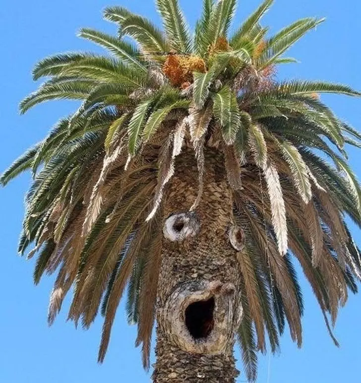 ST6. Please Don’t Look At These 24 Pictures If You Have A Dirty Mind