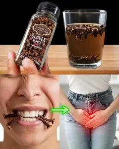HT6. 14 Life-Changing Uses of Cloves to Improve Your Health and Well-being