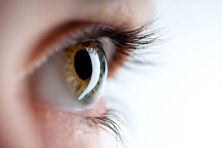 ST6. How to Take Care of Your Eyes in Detail: A Comprehensive Guide
