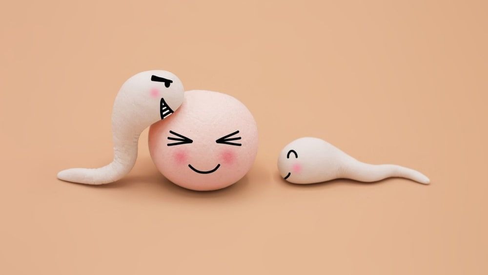 HT6. Understanding Male Reproductive Health: Composition, Safety, and Well-Being