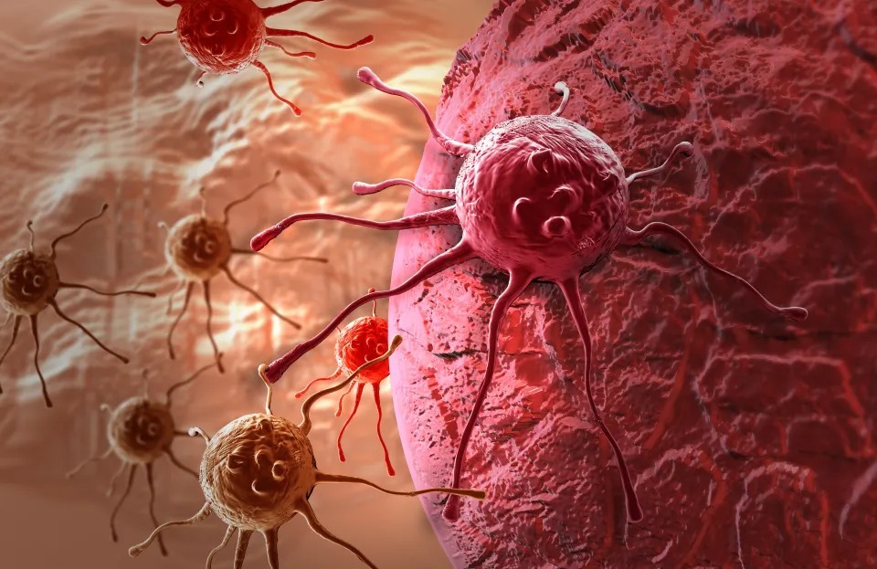 HT6. Early Warning Signs of Cancer You Should Never Ignore