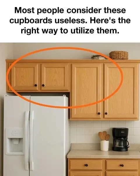 F. Most people consider these cupboards useless. Here’s the right way to utilize them