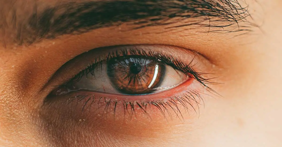 SK. What Are Eye Floaters? Here’s What to Do If You Start Seeing Them, According to an Eye Doctor