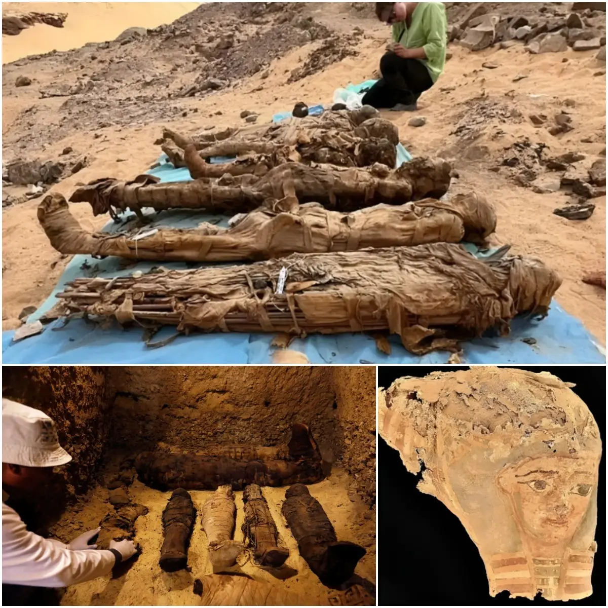 AC. Egypt’s ‘City of the Dead’: 900 Skeletons Speak