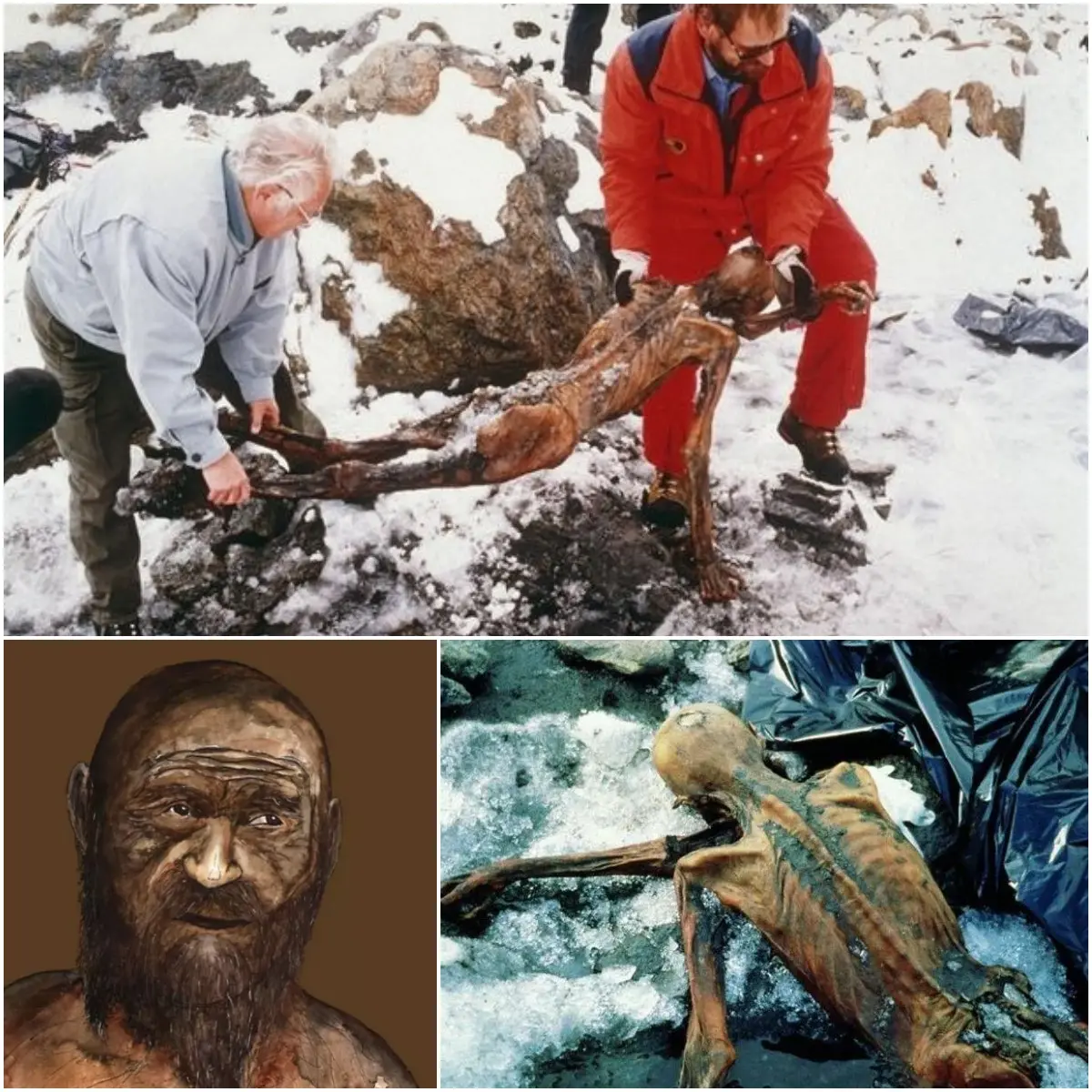 AC. Breaking News: The Astonishing Revelation of Ötzi the Iceman, the Oldest and Most Enigmatic Mummy in Human History, Unlocking Secrets from Over 5,000 Years Ago!