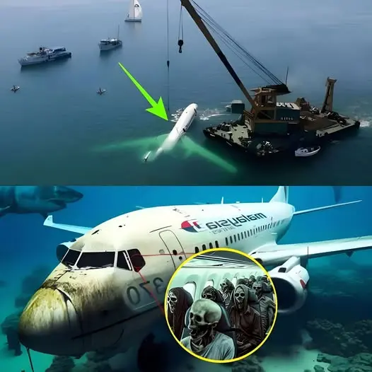 HT6. INCREDIBLE what happened on this airline: Flight attendant unleashes the…