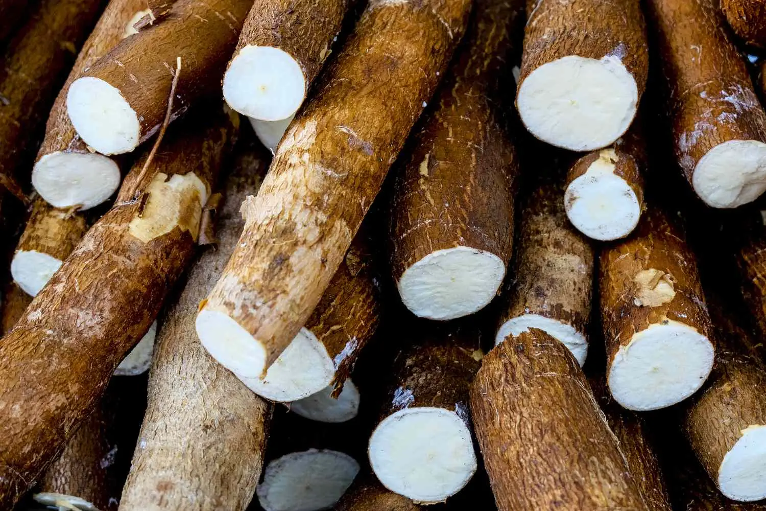 HT6. World’s “Deadliest food” Kills 200 Each Year