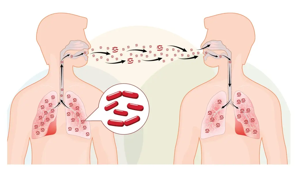 ST6. 10 Most Dangerous Diseases in Today’s Society