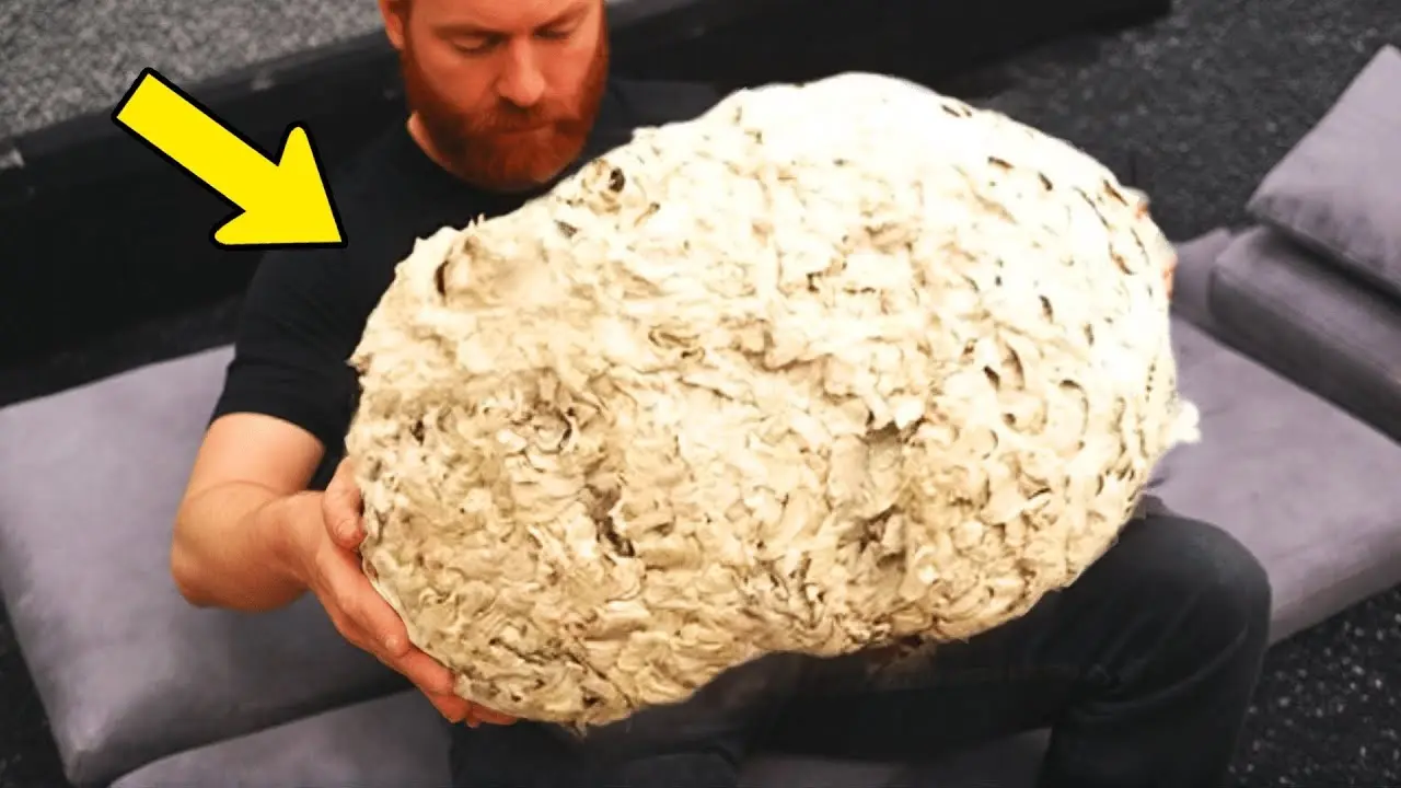 AC. Man Discovers Shocking Secret Hidden in His Attic