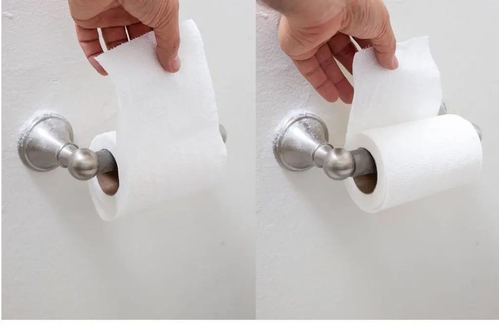 HT6. Is Toilet Paper Coming to an End? It May Soon Take the Place of Our Regular Rolls