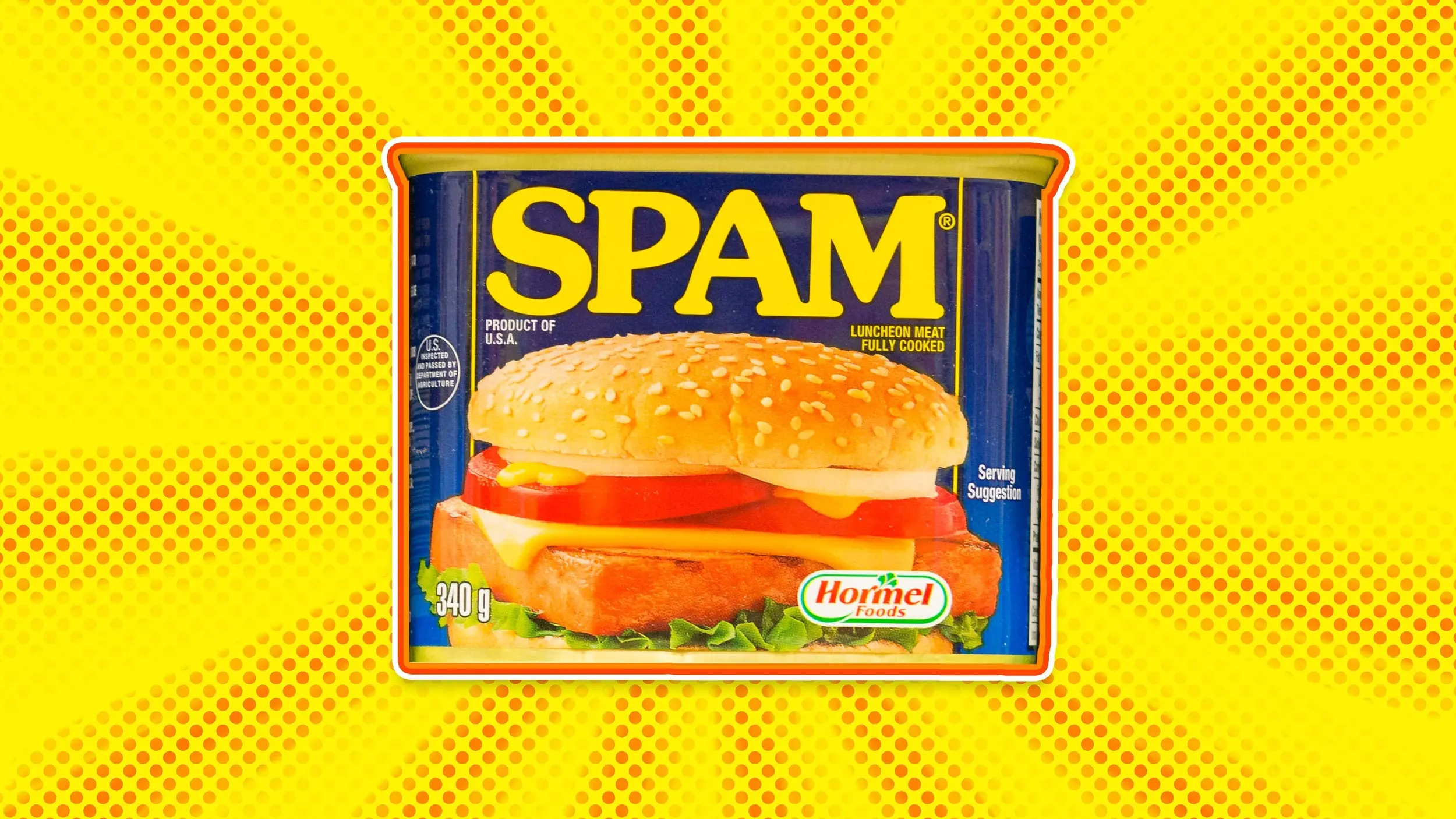 HT6. What Is SPAM and What Does SPAM Stand For?
