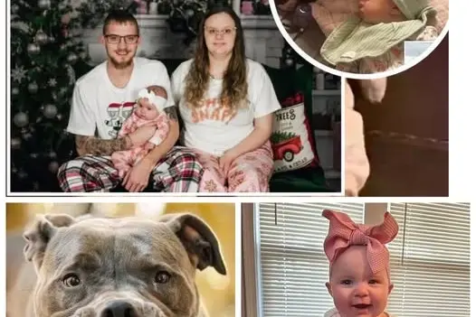 AN. Pet Pit Bull Kills 7-Month-Old Girl In US, Mother Says ‘Will Never Understand Why